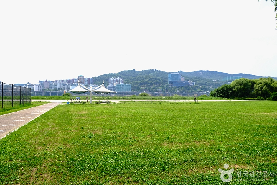 한강드론공원